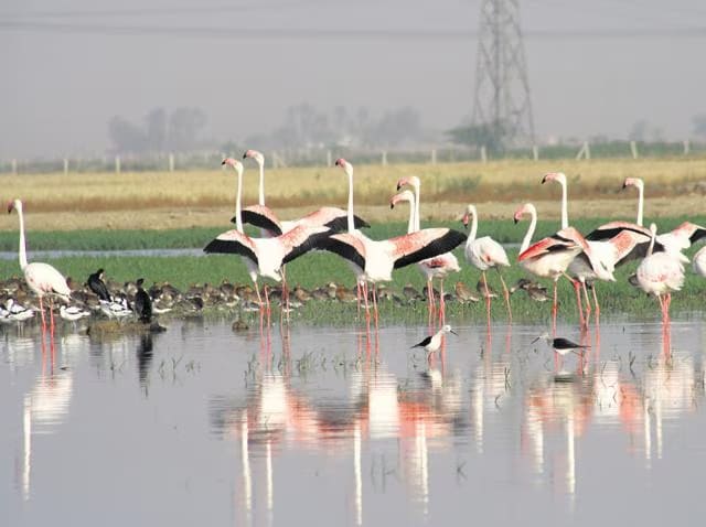 Sultanpur National Park